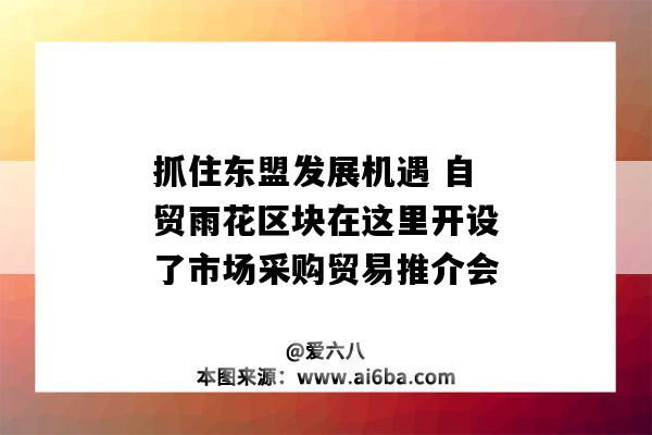 抓住東盟發(fā)展機(jī)遇 自貿(mào)雨花區(qū)塊在這里開設(shè)了市場采購貿(mào)易推介會-圖1