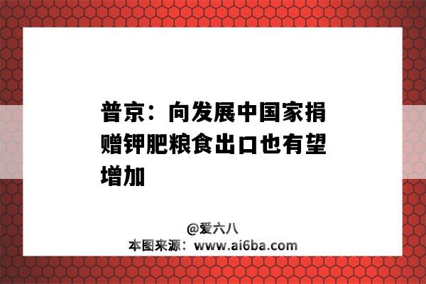 普京：向發展中國家捐贈鉀肥糧食出口也有望增加-圖1