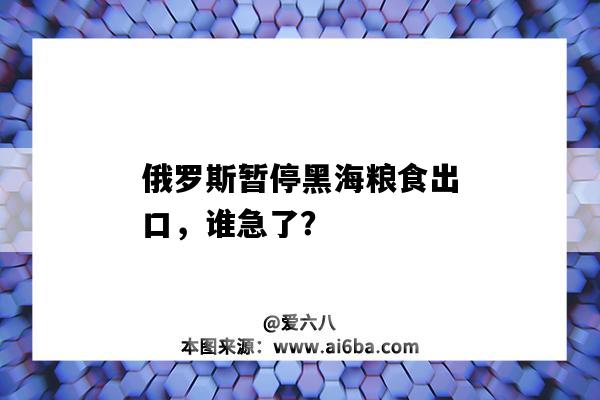 俄羅斯暫停黑海糧食出口，誰急了？-圖1