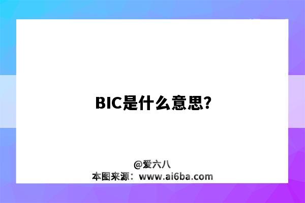 BIC是什么意思？-圖1