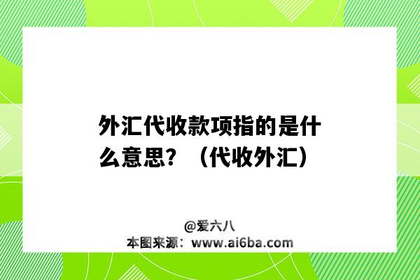 外匯代收款項指的是什么意思？（代收外匯）-圖1