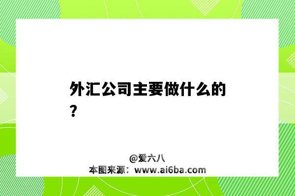 外匯公司主要做什么的？-圖1